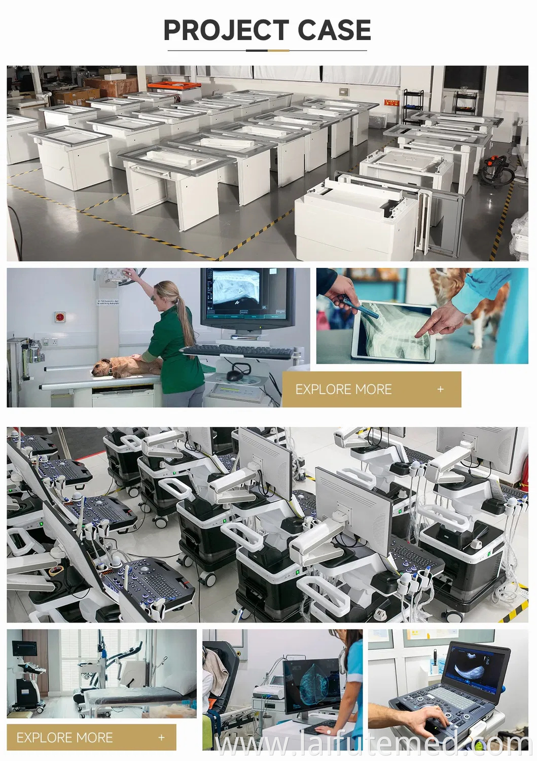 High Quality Medical Portable ICU Pet Incubator for Veterinary Clinic Vet Incubator with Diagnosis Properties for Animal Use